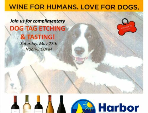 Bar Dog @ Harbor Wine & Spirits